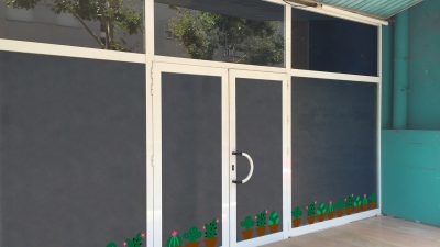 entrada_Cactus_bicolor