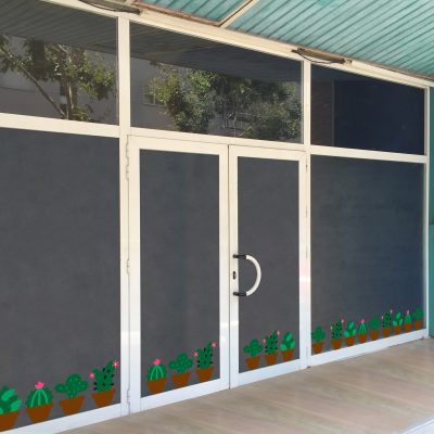 entrada_Cactus_bicolor